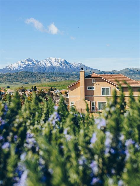 luxury mental health facility|The Ultimate Guide to Luxury Mental Health Rehab.